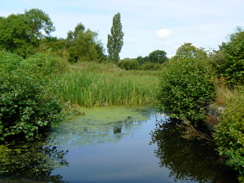 Cromford Canal Cromford Canal